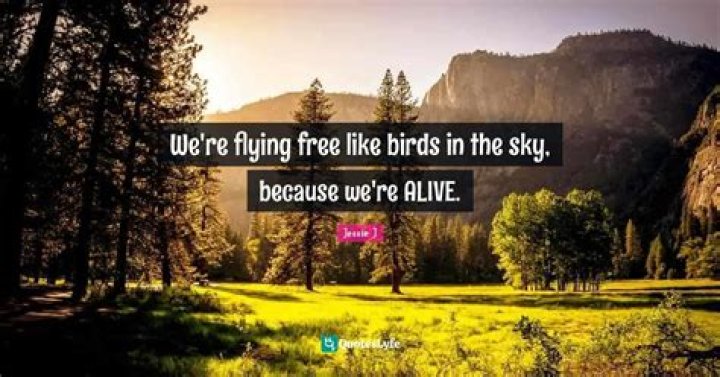 35 Quotes About Flying Free Like a Bird