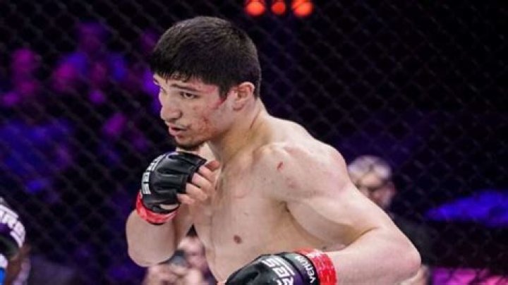 Baysangur Chamsoudinov Origine Parents