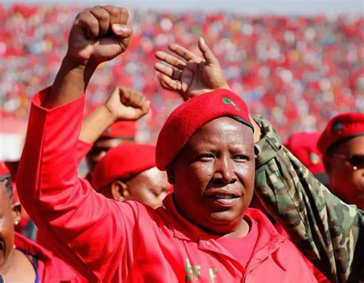 Julius Malema Biography: Net Worth, Salary, Wife, Age, Videos, House, Education, Twitter, Cars, Children